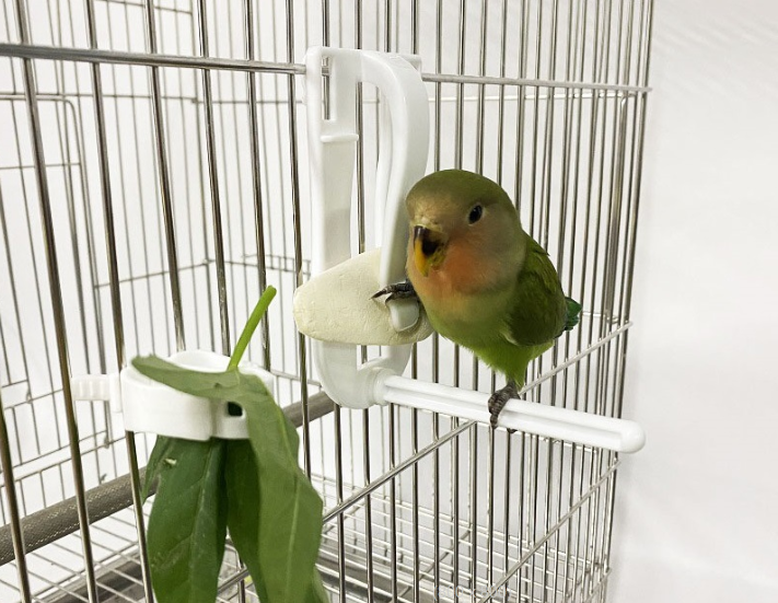 [GIÁ TỐT] 1 CÁI KẸP NAN MỰC (BẰNG NHỰA TRẮNG) CHO CHIM CẢNH, YẾN PHỤNG, VẸT