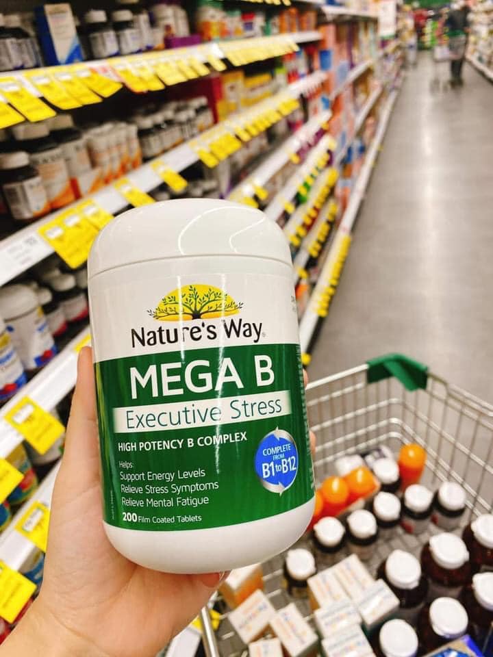 Nature Way Mega B Executive B Stress