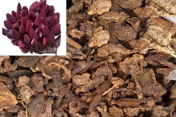 Nấm ngọc cẩu đã sấy sạch khô (1kg), tác dụng bổ máu bổ thận, kích thích tiêu hóa, lấy lại bản lĩnh đàn ông, tốt cho sức khỏe sau sinh