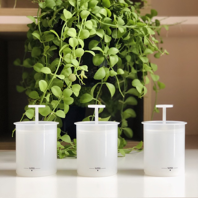 Cốc tạo bọt sữa rửa mặt nhỏ xinh