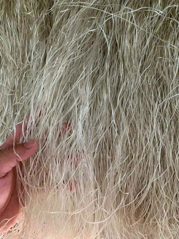 miến sợi nhỏ 1kg