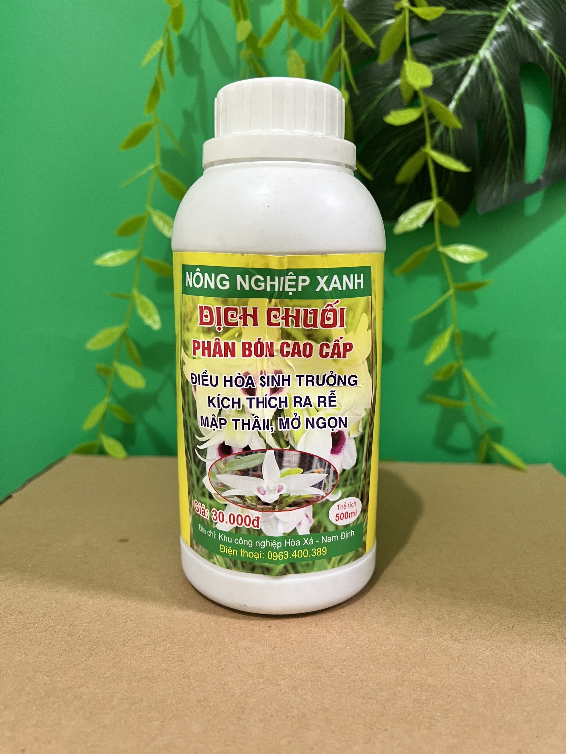 Dịch chuối phân bón lá kích ra rễ, mập thân, xanh lá dành cho hoa lan, hoa hồng