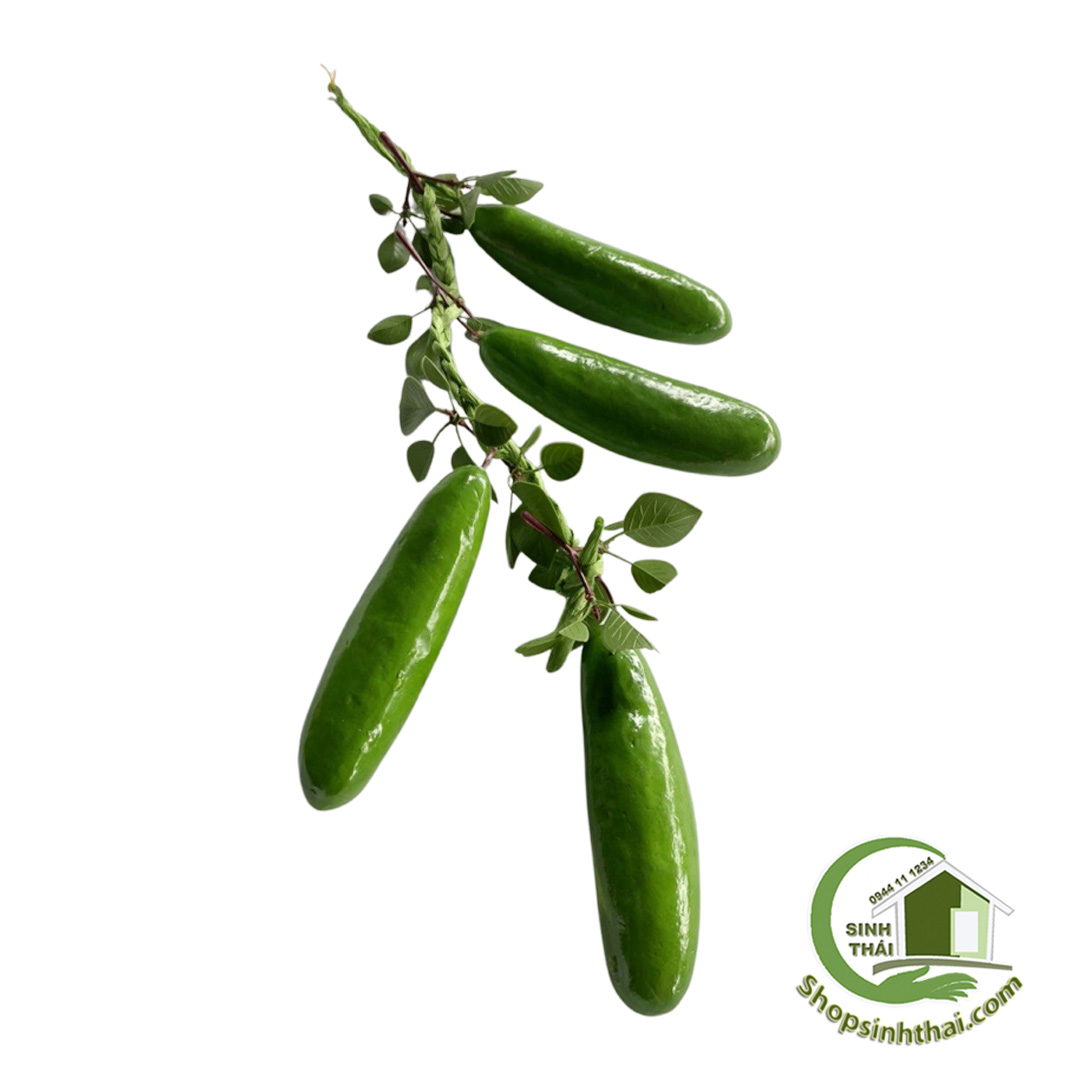 Dây dưa leo giả - Dây củ quả giả cao cấp [ Kho sỉ ]