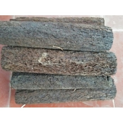 DỚN TRỤ TRỒNG LAN