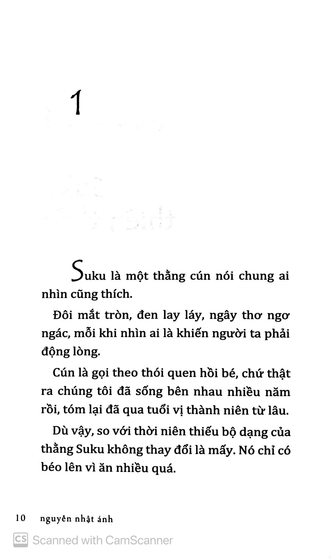 Con Chó Nhỏ Mang Giỏ Hoa Hồng ( Nguyễn Nhật Ánh )