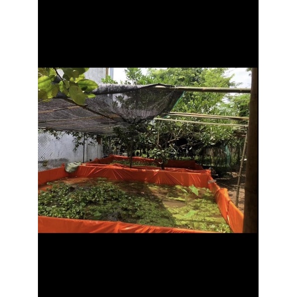 ( Bể bạt 2 da) bể bạt nuôi ốc , ếch , lươn 3x2x1 ( sale xả hàng )