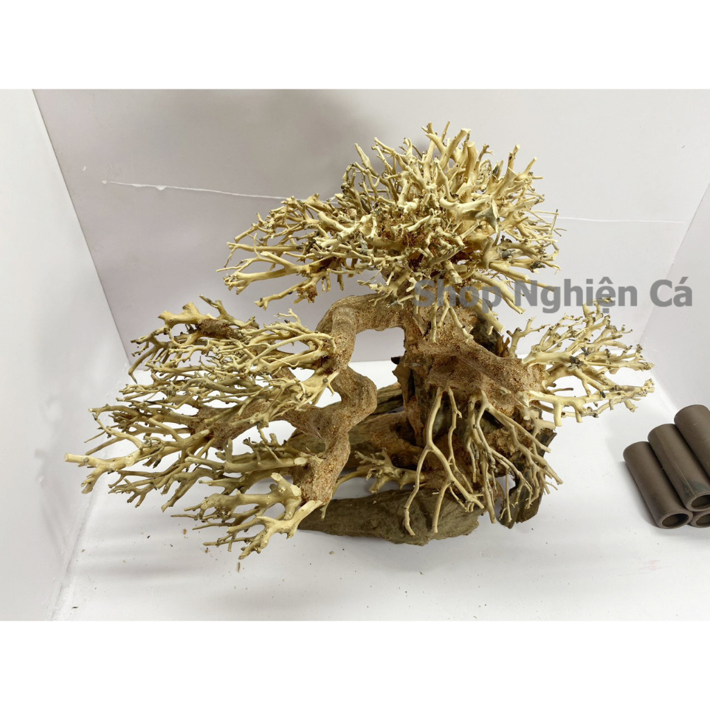 Lũa Bonsai Mini Trang Trí Bể Cá - Bể Thủy Sinh Dáng Đổ