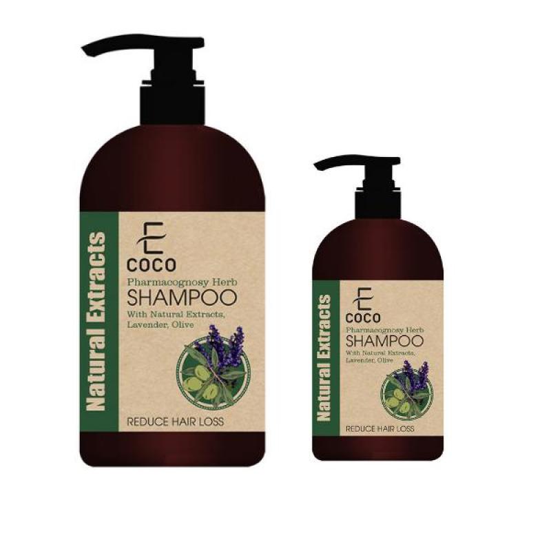 Dầu gội dược liệu sạch trị rụng tóc Ecoco với chiết xuất tự nhiên, oải hương, ô liu nhập khẩu