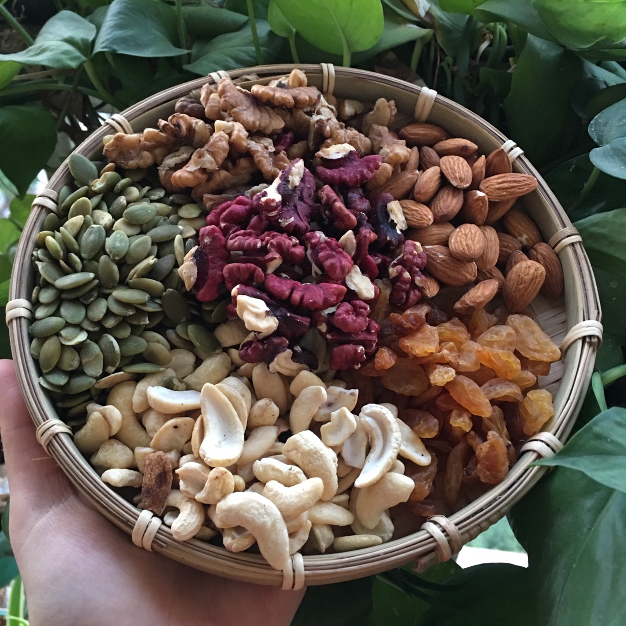 100g Nhân Óc Chó Đỏ
