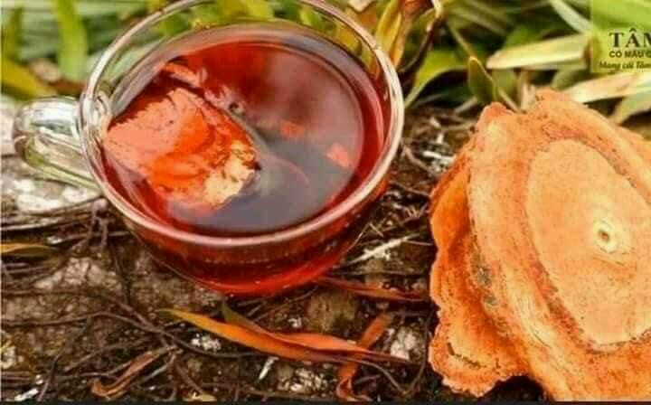 CỎ MÁU / CỎ MÁU TĂNG CÂN / CỎ BỔ MÁU,TĂNG CÂN (GÓI 1KG)