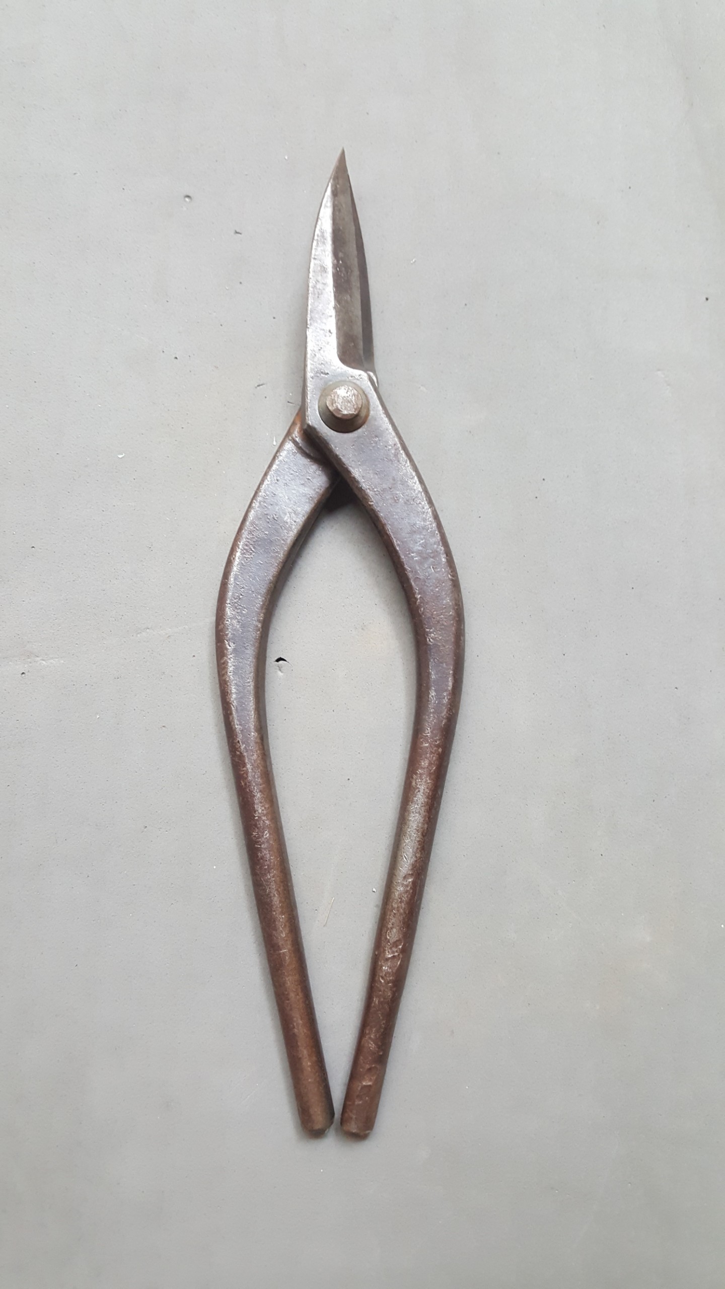 Metal Cutting Scissor Straight Edge