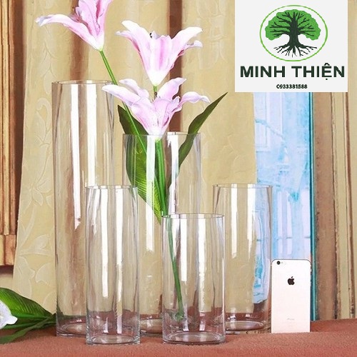 [HCM]Bình Bông Lọ Hoa Thủy Tinh Trang Trí D12CM * H20CM