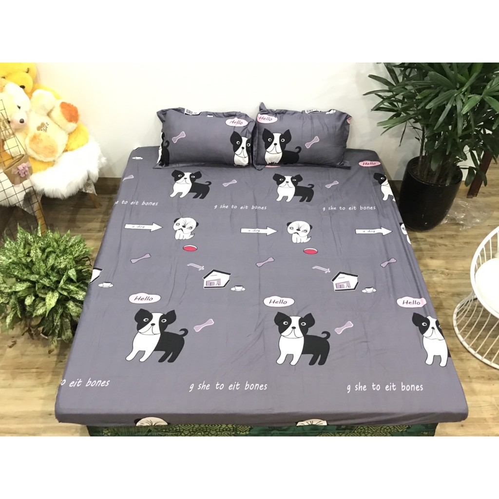 [KHÔNG CHỐNG THẤM] Bộ chăn ga COTTON POLY 3 món: 1 ga chun và 2 vỏ gối kích thước 1M6 X 2M , 1M8 X 2M họa tiết ngộ nghĩnh dành cho mọi gia đình có con nhỏ, ga trải đệm  siêu tiện lợi.