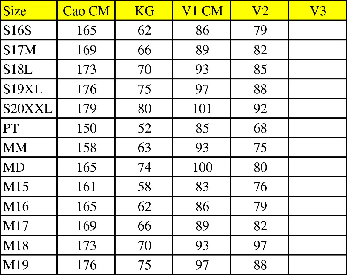 Rập Giấy PC026 - Ao Raglan - Regular - Size lớn