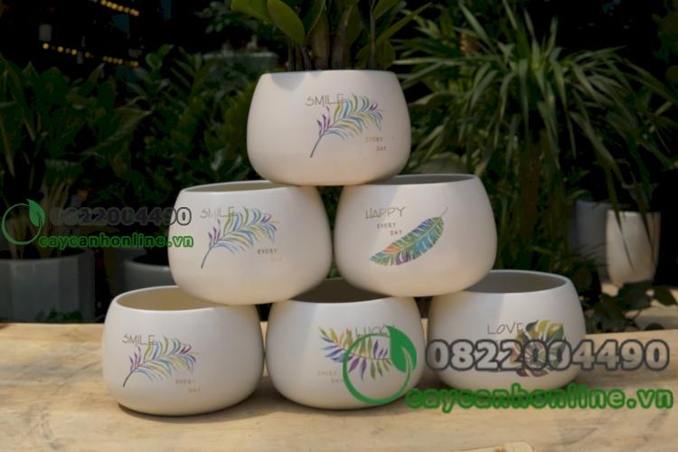 Chậu hạt dẻ in hình size to chậu trồng cây gốm sứ để bàn cây cảnh mini sen đá xương rồng