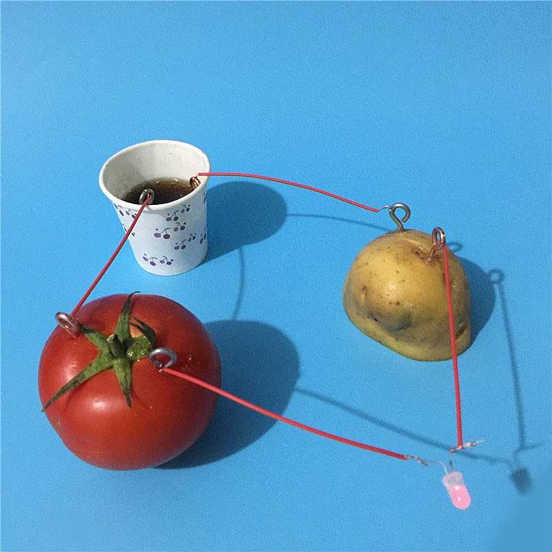 The experimental science magnetic generator battery creative fruit for scientific research stem