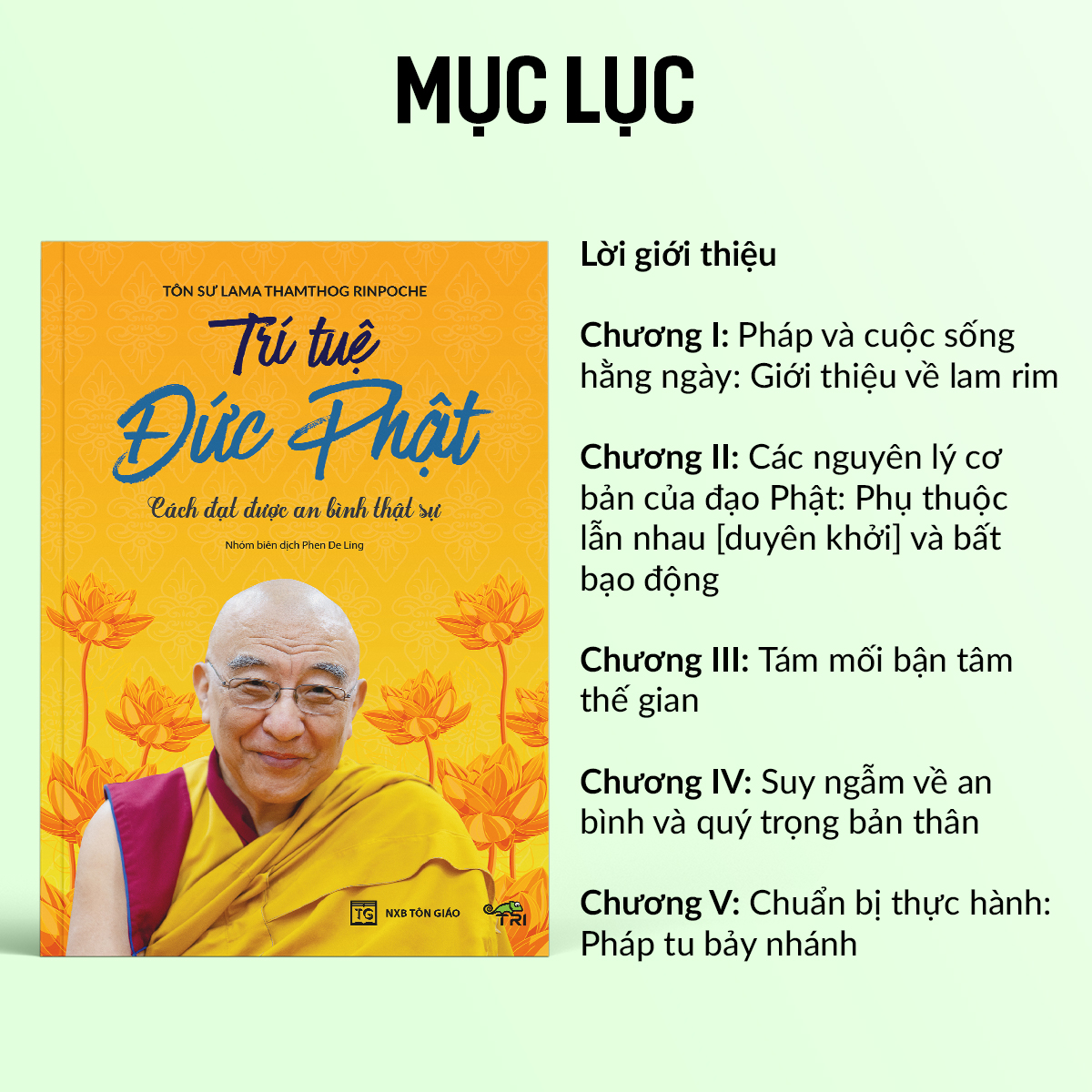 Sách - Trí Tuệ Đức Phật (Lama Thamthog Rinpoche) - Tuệ Tri