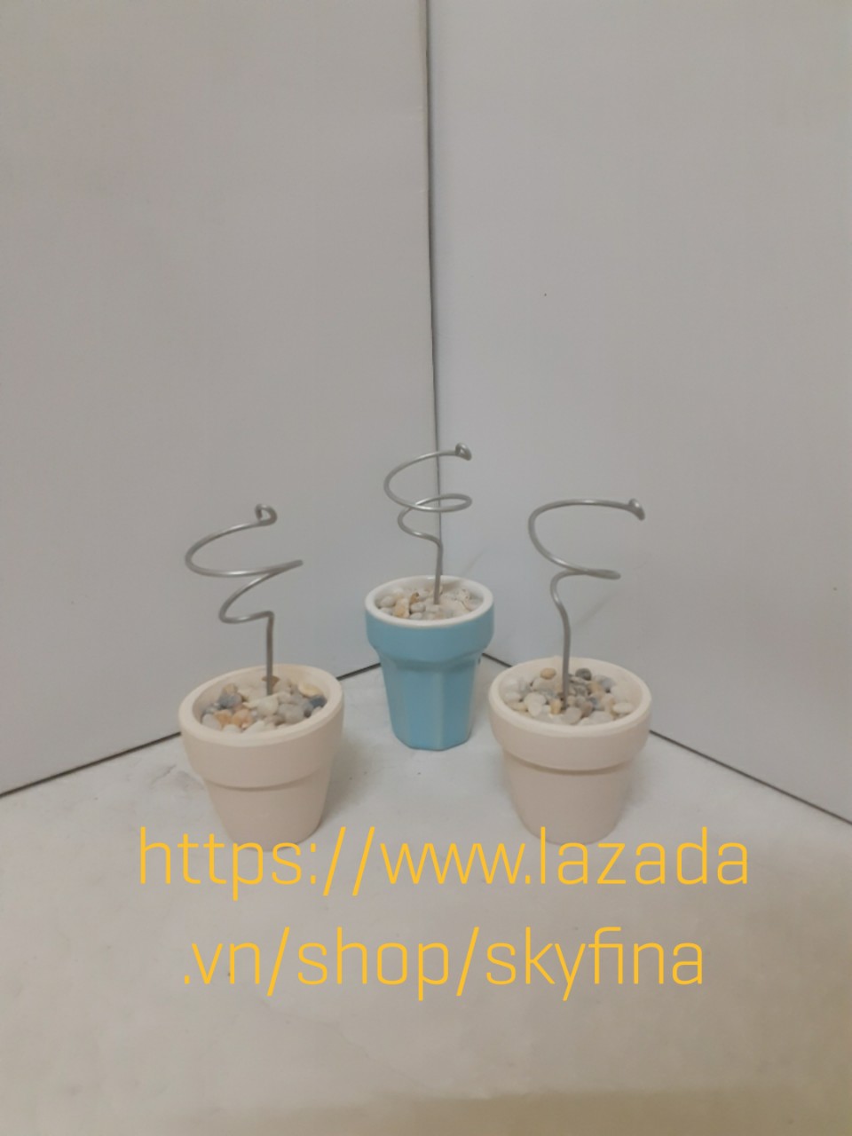 Chậu + lò xo để cây không khí