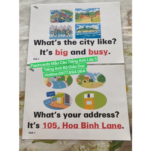 Combo Flashcard Mẫu Câu Lớp 1-2-3-4-5 ( Tiếng Anh Bộ Giáo Dục -Tranh A4 ép plastic bền đẹp)