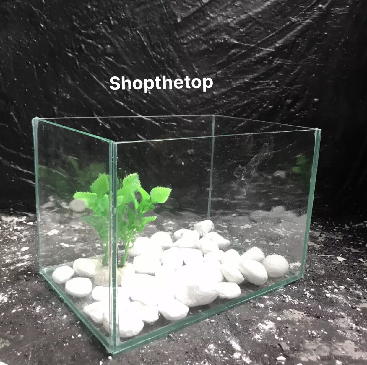 Hồ cá mini giá rẻ 20x14x14 kính 5li