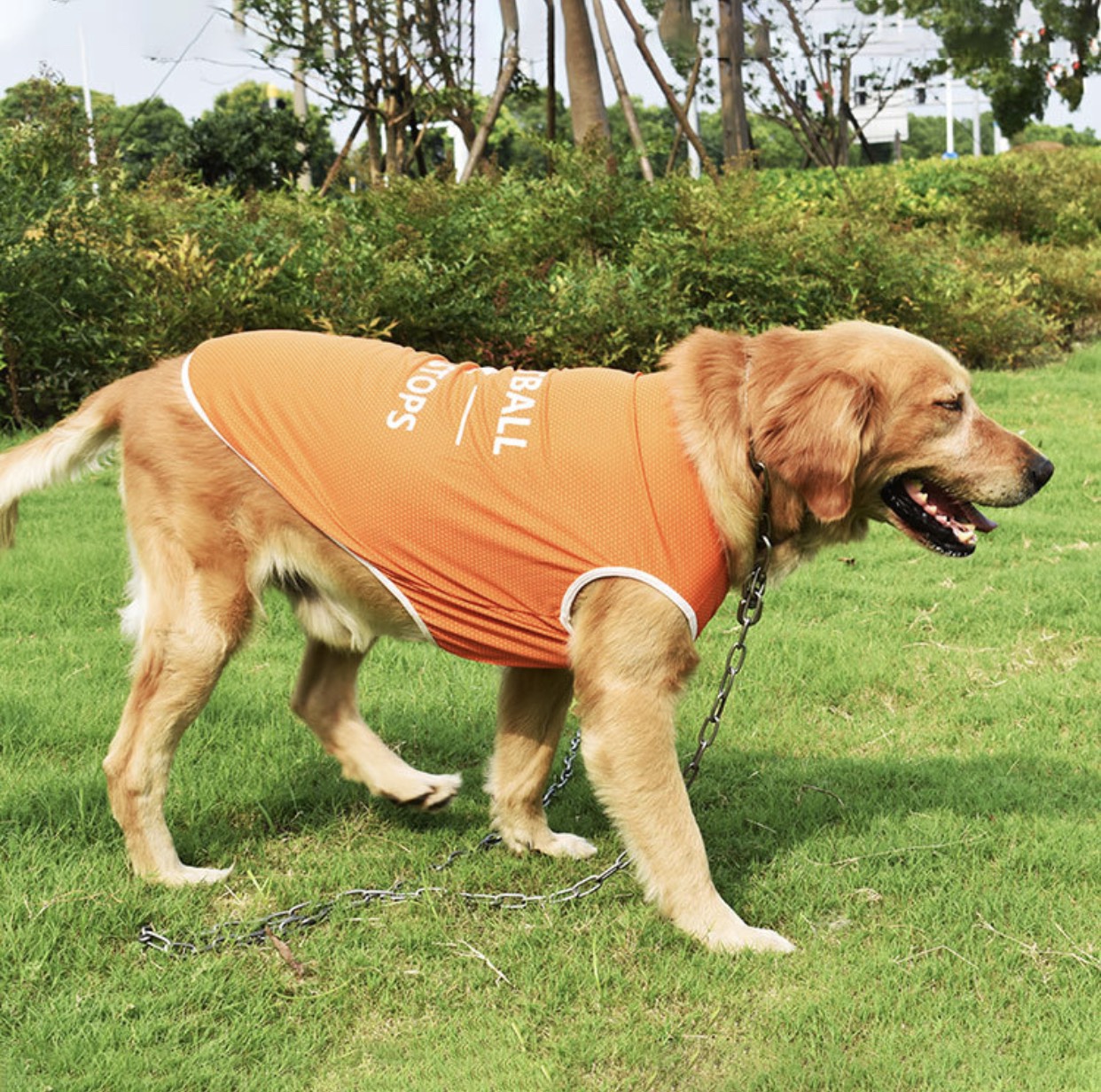 [HCM]Áo vải thun thoáng mát SIZE TO - BIG SIZE cho chó lớn