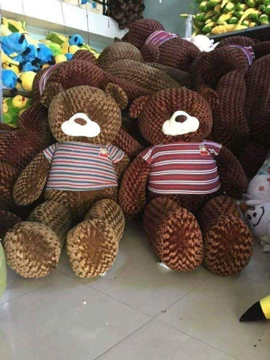 Gấu teddy cao cấp khổ vải 1m size 80cm