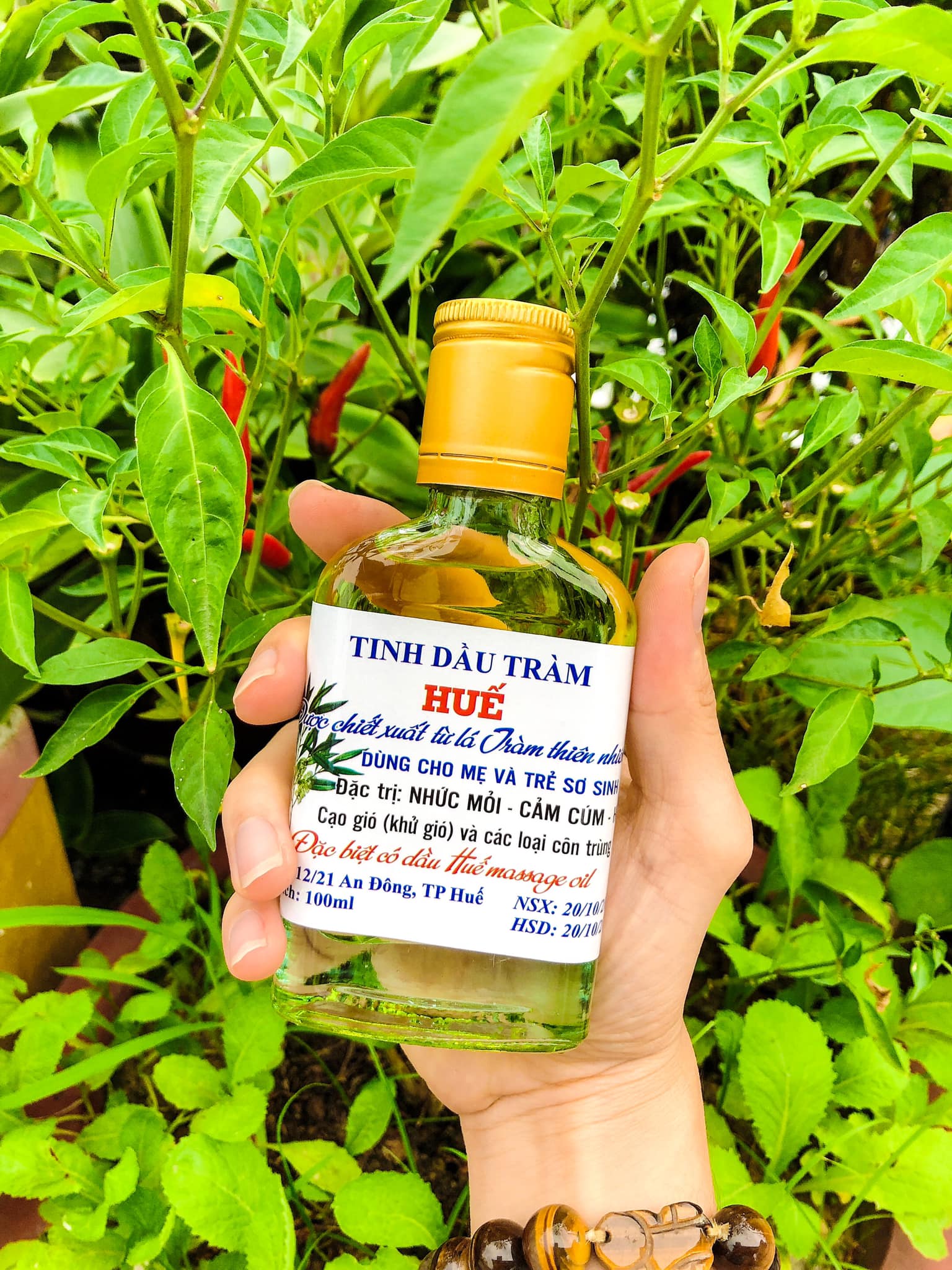 Tinh dầu tràm Huế nguyên chất 100 ml