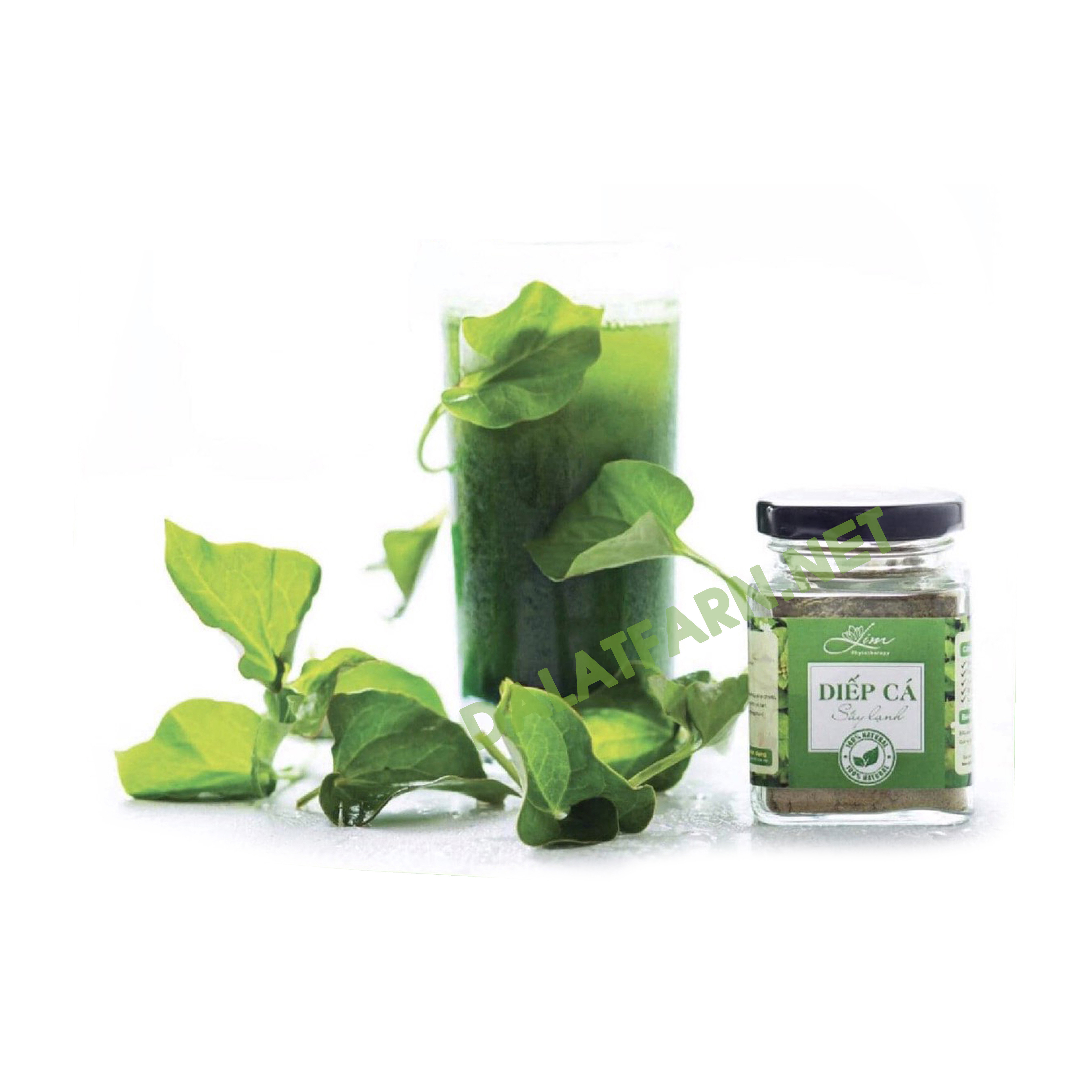 [HCM]Bột rau củ sấy lạnh - Bột diếp cá sấy lạnh (150g)
