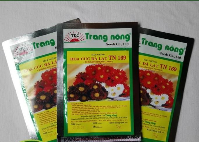 5G - Hạt Giống Hoa Cúc Đà Lạt Nhiều Màu
