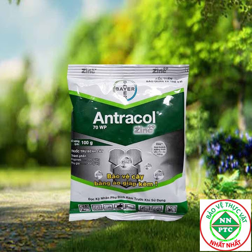 Sản Phẩm trừ nấm bệnh Antracol 70wp gói 100g dùng cho cây trồng