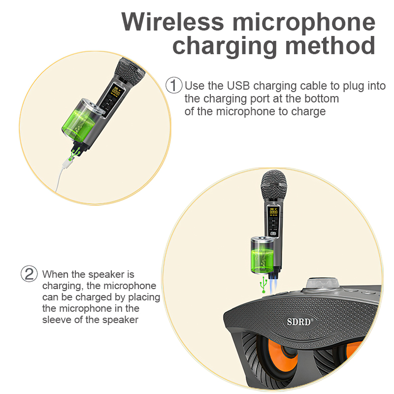Loa Bluetooth Karaoke SDRD SD 306 Plus Bản Mới Nhất,Kèm 2 Micro Karaoke Không Dây,Chất Lượng âm Thanh Tuyệt Vời