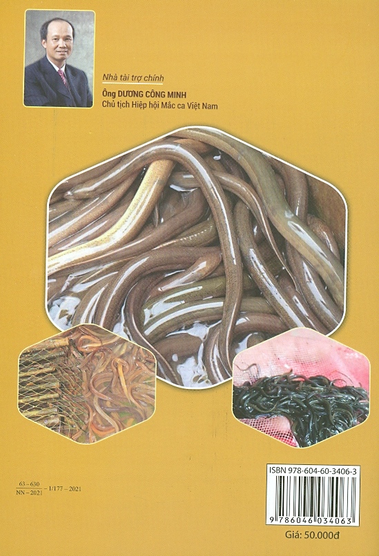 Cách nuôi Lươn trong bể không bùn