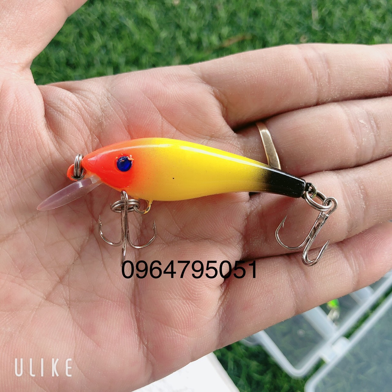 hộp mồi câu 5 con cá giả câu lure