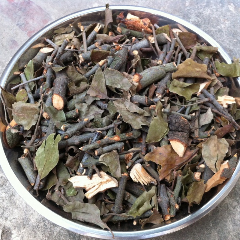 Tầm gửi gạo