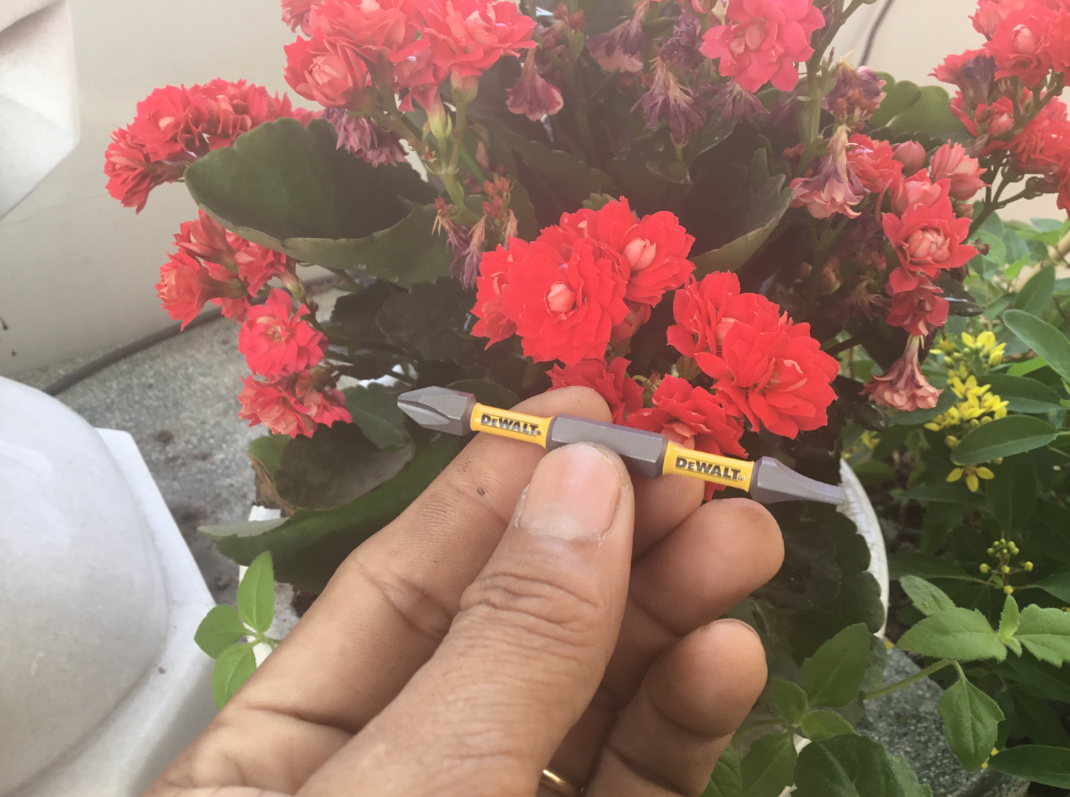 [HCM]Mũi Vít DeWalt 2 Đầu Nhập Ph2 70mm
