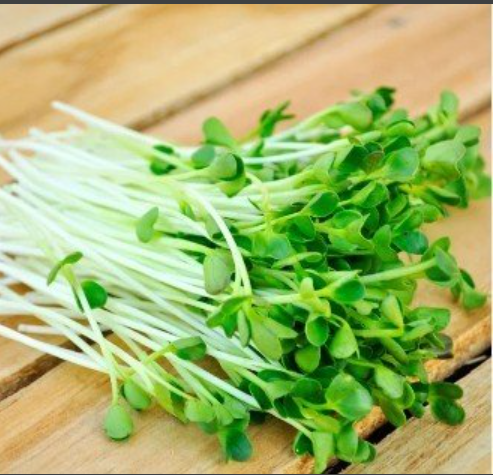 [Chỉ Giao HCM] Cải Mầm - 100g