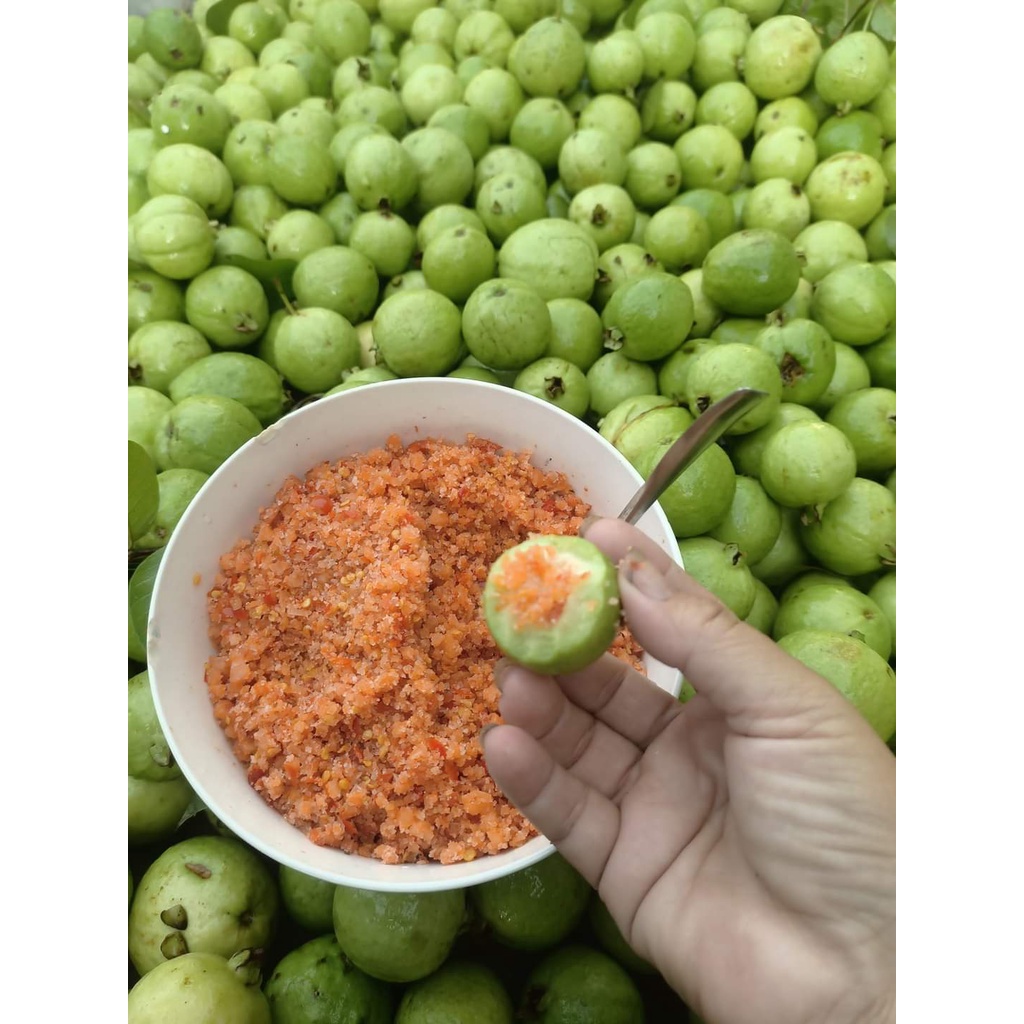 cây giống Ổi Găng Đông Dư ( siêu mau trái) ( sản phẩm có bảo hành đỏi trả)