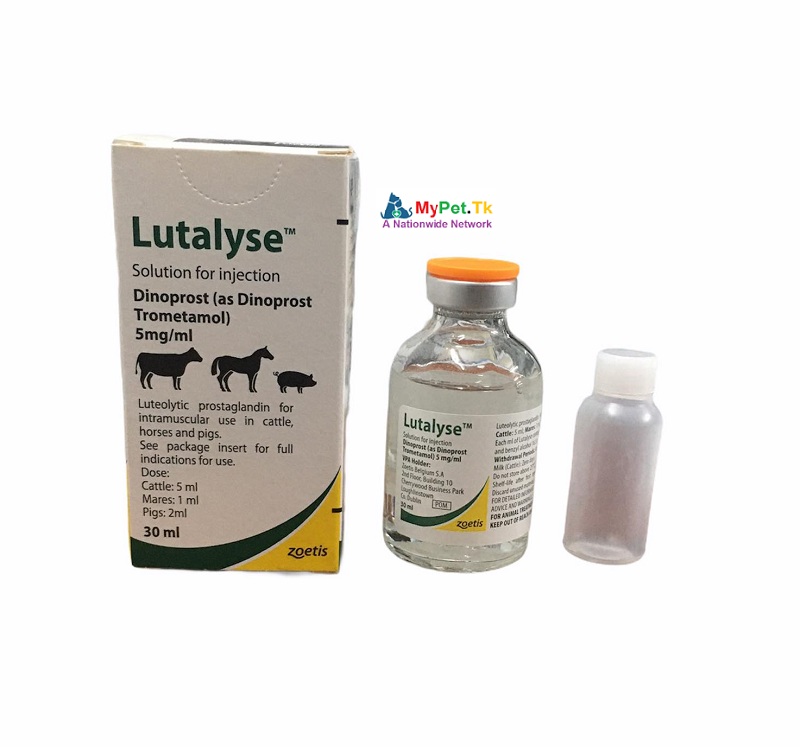 2 ML Lutalyse Zoetis
