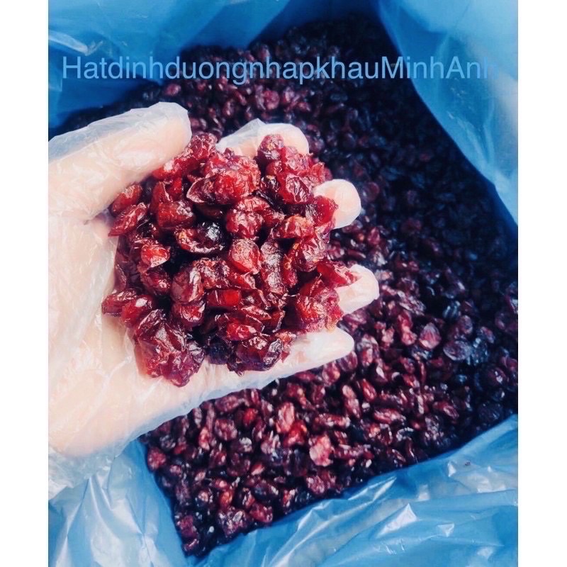 Nam Việt Quất sấy khô, Kl 500g