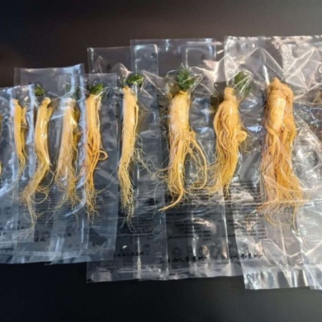 sỉ toàn quốc củ nhân sâm tươi