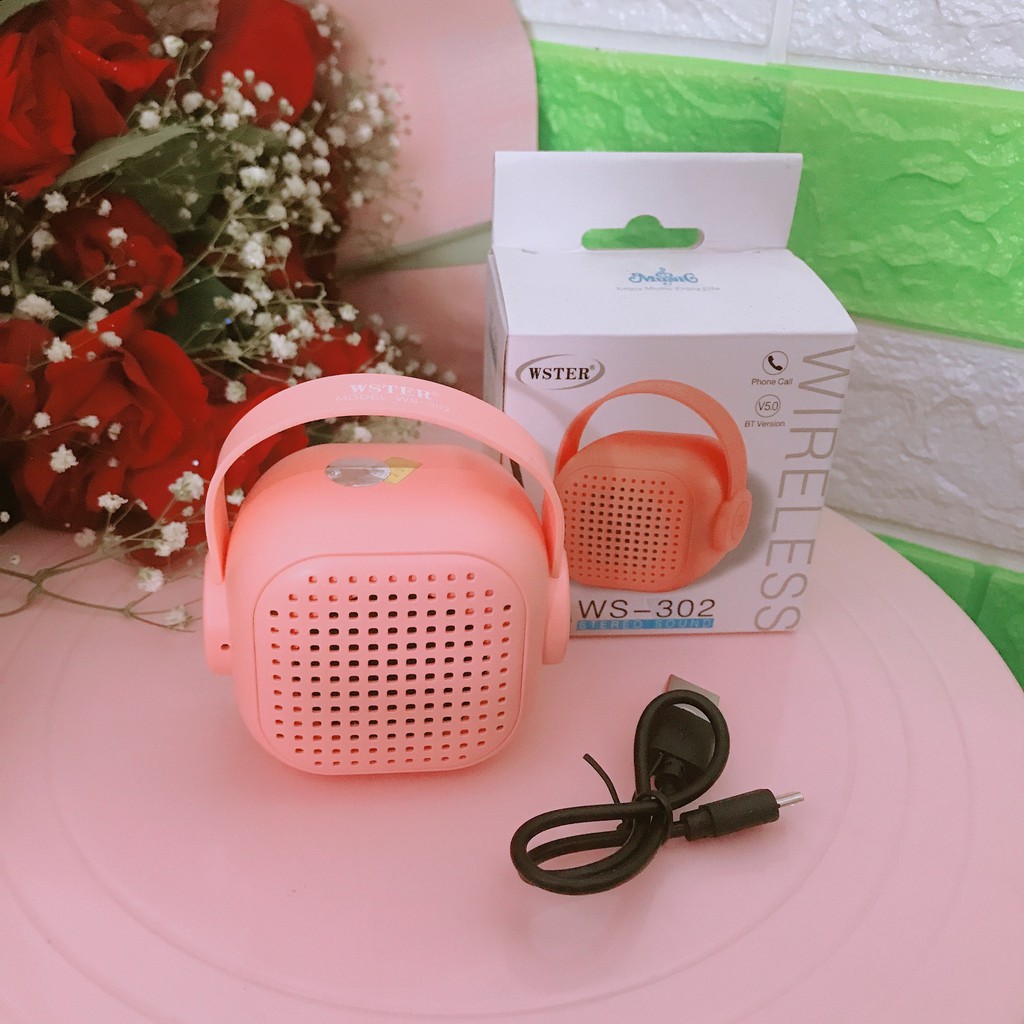 LOA BLUETOOTH WSTER WS 302 ÂM THANH CỰC HAY