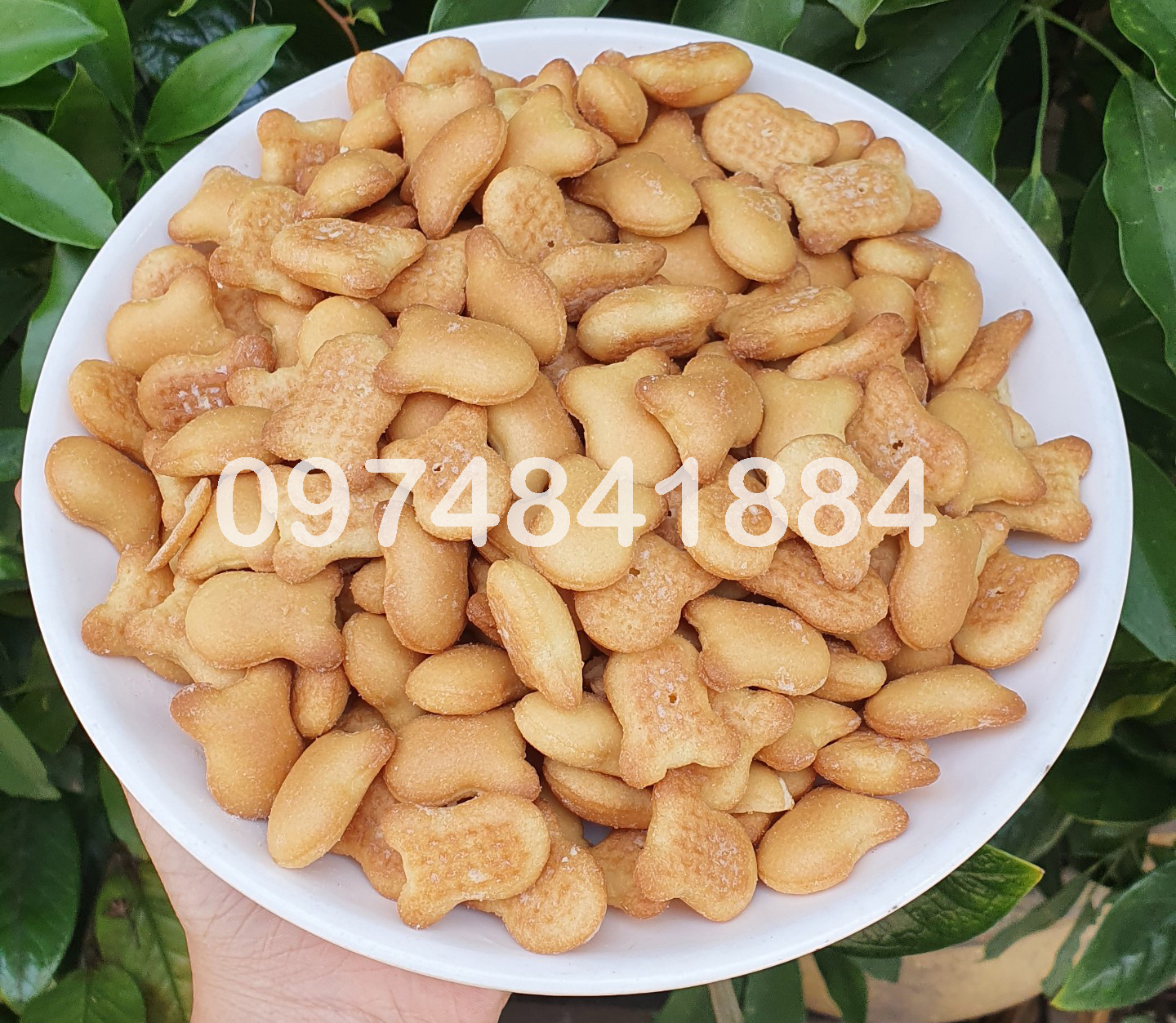 1KG BÁNH GẤU NHÂN KEM SỮA - đồ ăn vặt từ trẻ nhỏ đến người lớn tuổi ai cũng đều thích thú