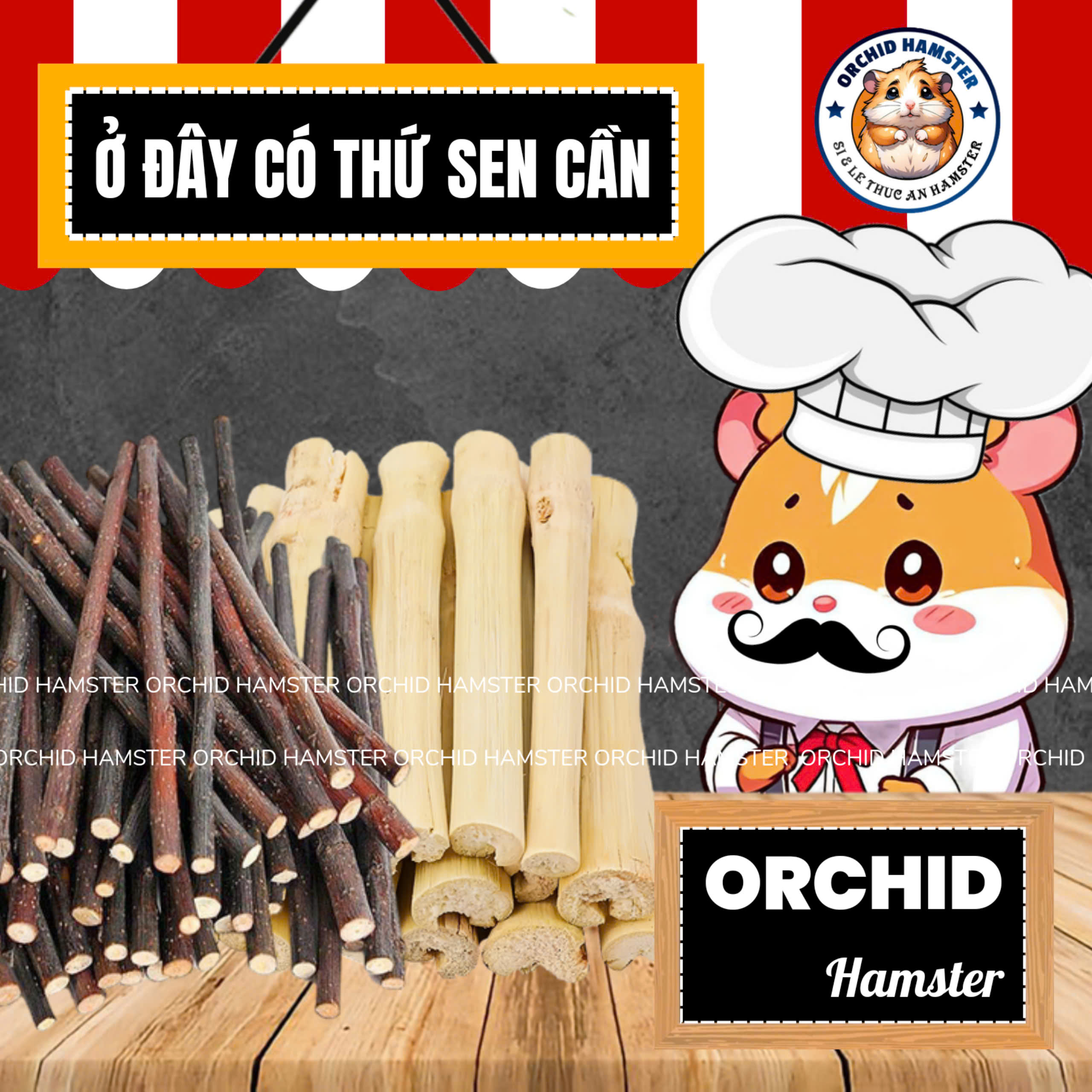 Cành Táo - Tre Ngọt Mài Răng Hamster /Sóc/Nhím Thú Nhỏ