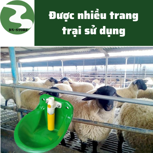 Máng uống nước tự động cho Dê Cừu