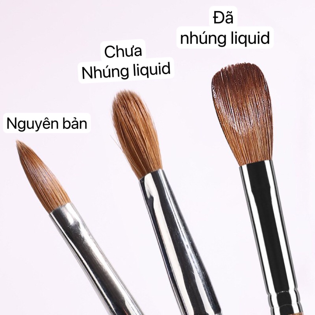 Cọ đắp bột lông chồn số 18 Kolinsky chính hãng cao cấp 1146