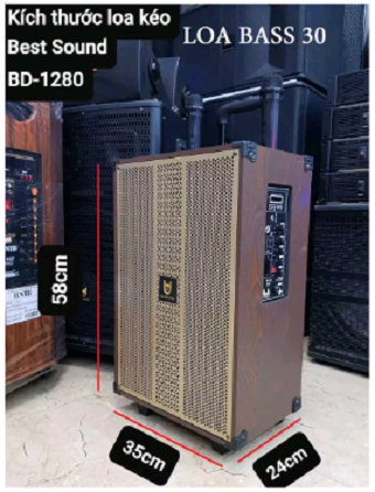 Loa bluetooth Loa kéo loa nghe nhạc Karaoke Best Sound BD-1280 Bass 30 Có 2 Micro không dây đi kèm loa hát karaoke hát hay