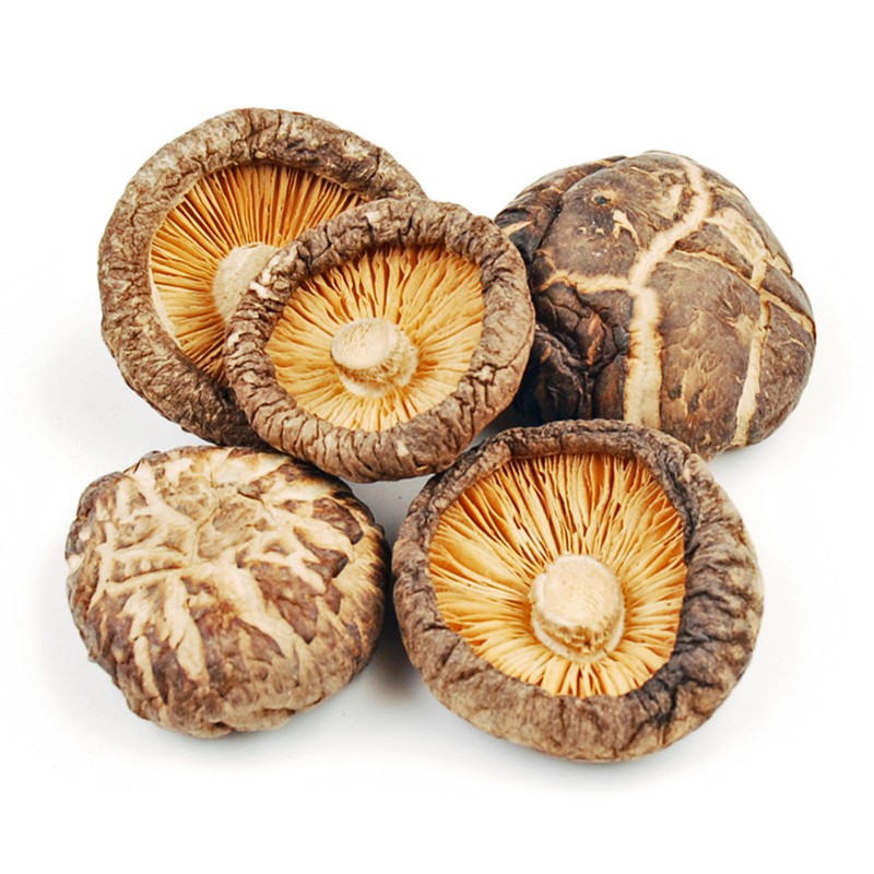 Nấm đông cô khô Dried Shitake Mushroom - Xuất xứ Trung Quốc 1 kg