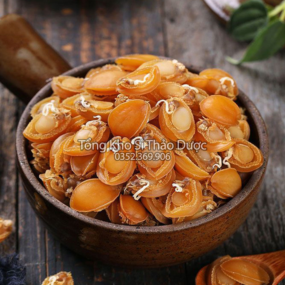 Nhân bào ngư khô Nha Trang 100g (Loại 1, nấu súp, hầm canh bổ dưỡng)