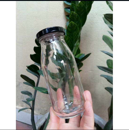 Combo 6 chai thủy tinh 250ml nắp đen
