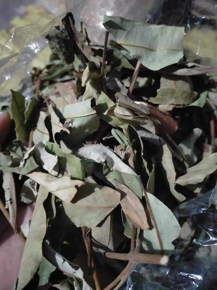 (Dược liệu khô) Cây Thành Ngạnh ( cây đỏ ngọn) phơi khô 500g